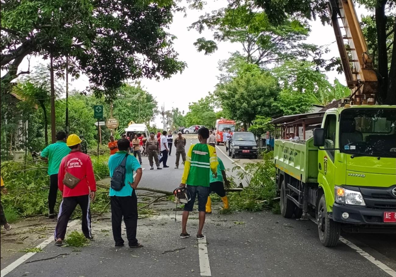 ANTISIPATIF: Petugas gabungan melakukan penebangan dan pemangkasan pohon rawan tumbang di Jalan Kwadungan&ndash;Budug, Ngawi, Rabu (21/1). DISKOMINFO UNTUK RADAR NGAWI