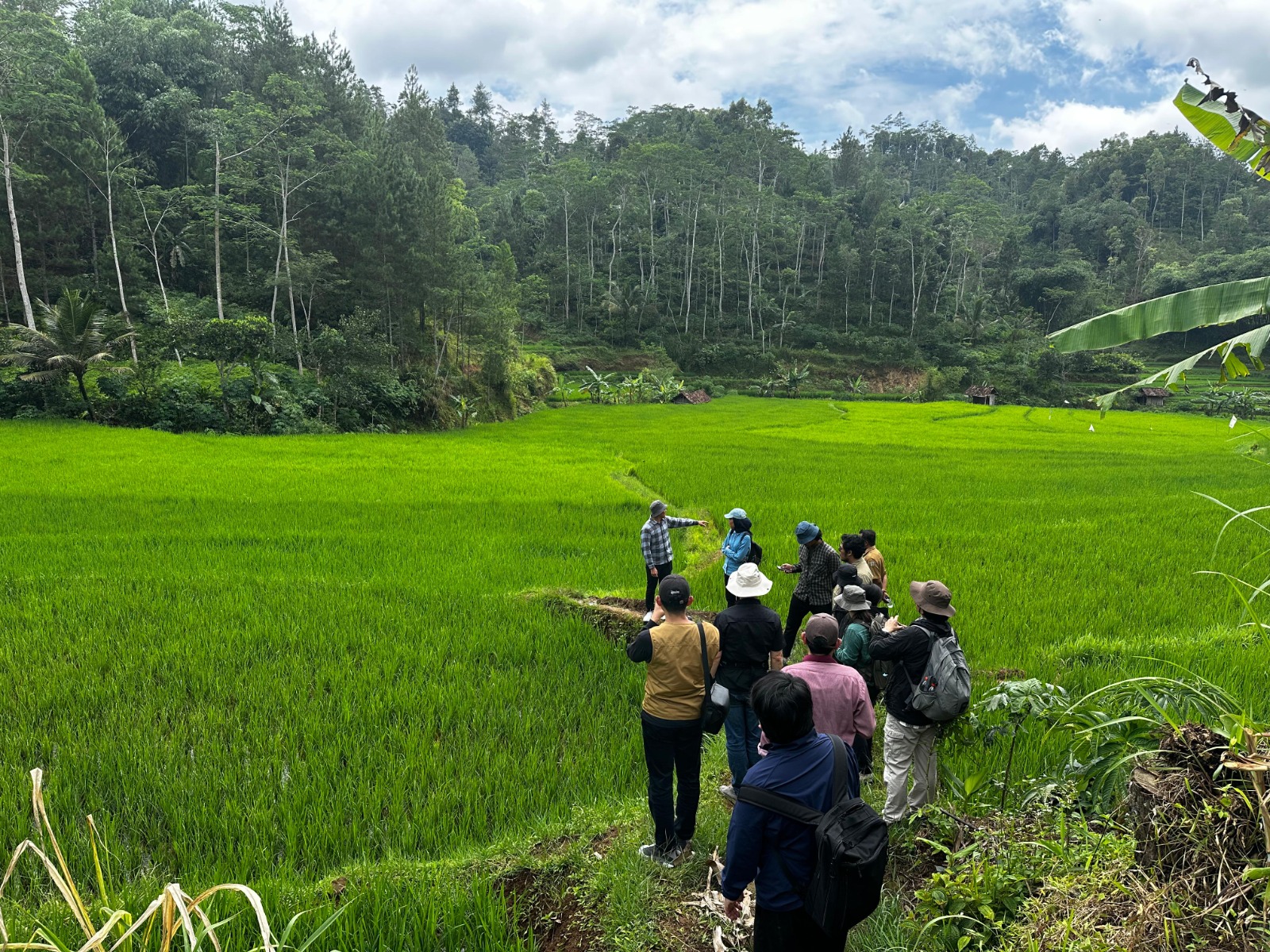 SUMBER DAYA ALAM: Tim PLN melakukan survei lapangan di Sungai Grindulu, Pacitan, sebagai bagian studi kelayakan pembangunan PLTA.