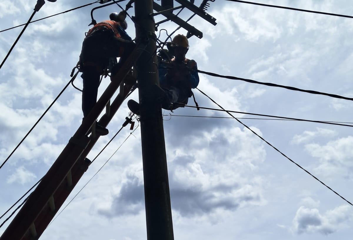 PEMELIHARAAN JARINGAN: Petugas PLN melakukan penggantian isolator dan perbaikan jaringan tegangan rendah di Desa Gedangan, Kecamatan Tegalombo, Pacitan.