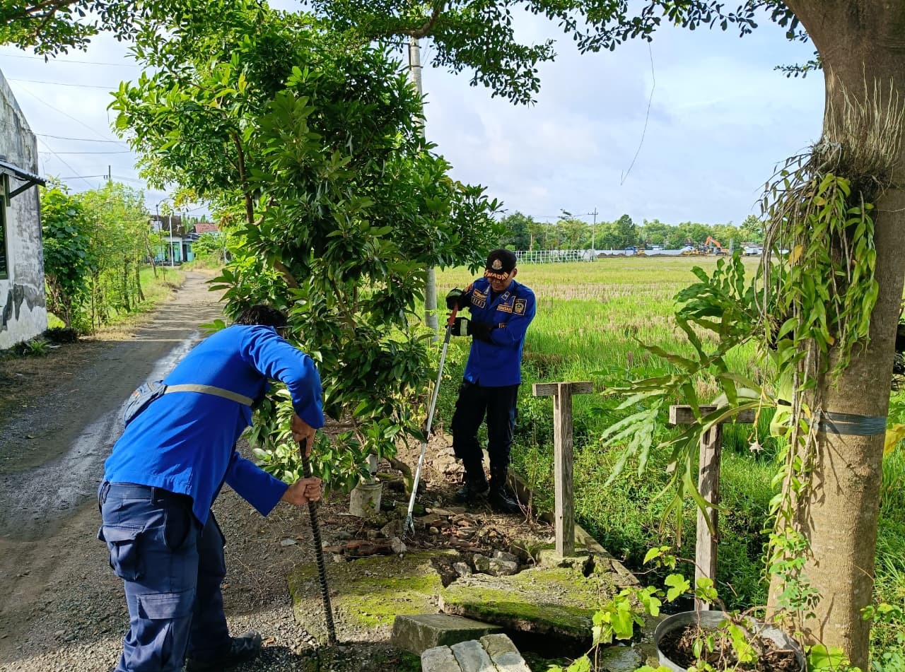 Petugas Damkar Kabupaten Madiun mengevakuasi puluhan bayi ular kobra yang ditemukan di bawah gorong-gorong Perumahan Green Indah, Kelurahan Nglames. FOTO: ISTIMEWA