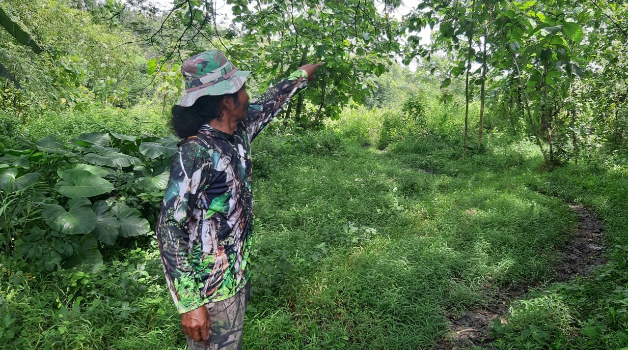Warga menunjukkan lahan yang diminati Pemkab Ngawi untuk rencana pengadaan kawasan makam baru wilayah perkotaan. ASEP SYAEFUL/RADAR NGAWI