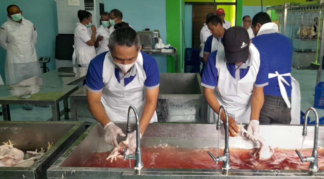 Aktivitas pemotongan ayam di Rumah Pemotongan Hewan Unggas (RPHU) Ngawi, Desa Kandangan, yang berpotensi menjadi sumber PAD baru daerah. DOK RADAR NGAWI