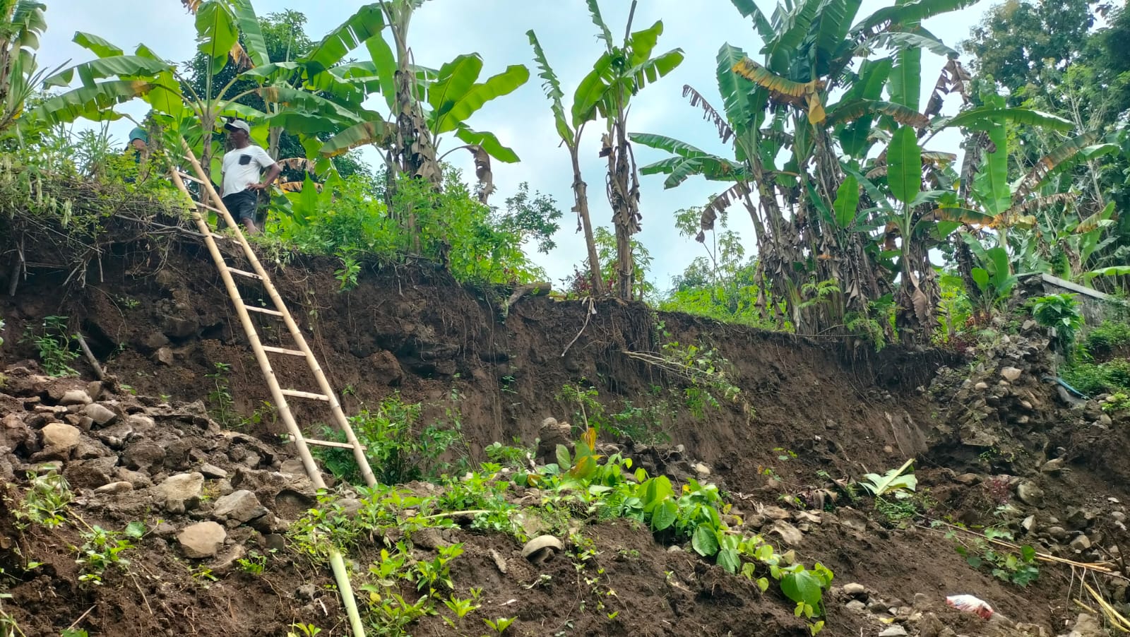Plengsengan Sungai Keyang di Desa Demangan, Siman, ambrol dan menutup aliran sungai. Sedikitnya 18 rumah warga di bantaran terancam banjir. SUGENG DWI N/RADAR PONOROGO