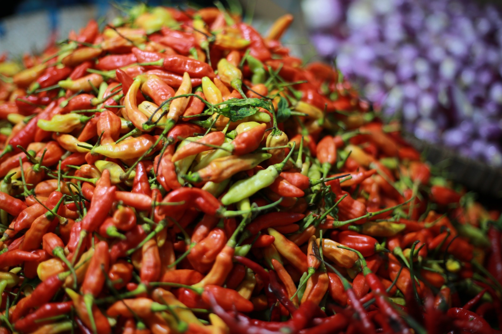 Harga cabai dan komoditas hortikultura di pasar tradisional Kota Madiun turun tajam dan menjadi pemicu deflasi Januari 2026. BAGAS BIMANTARA/RADAR MADIUN