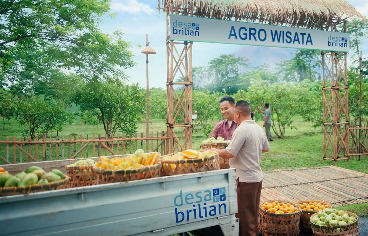 PROGRAM DESA: BRI membuka pendaftaran Program Desa BRILiaN 2026 untuk mendorong desa mengoptimalkan potensi ekonomi, digitalisasi, dan penguatan kelembagaan.