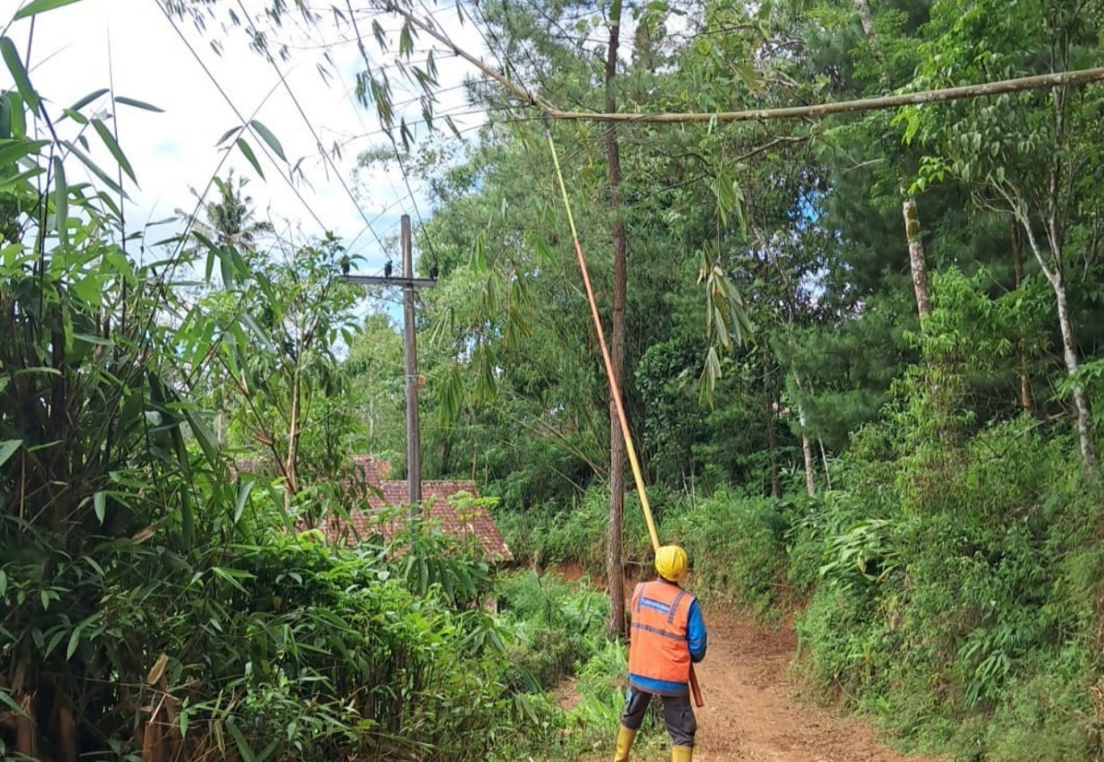 Petugas PLN ULP Balong memangkas pepohonan demi menjaga keandalan pasokan listrik di Nawangan.