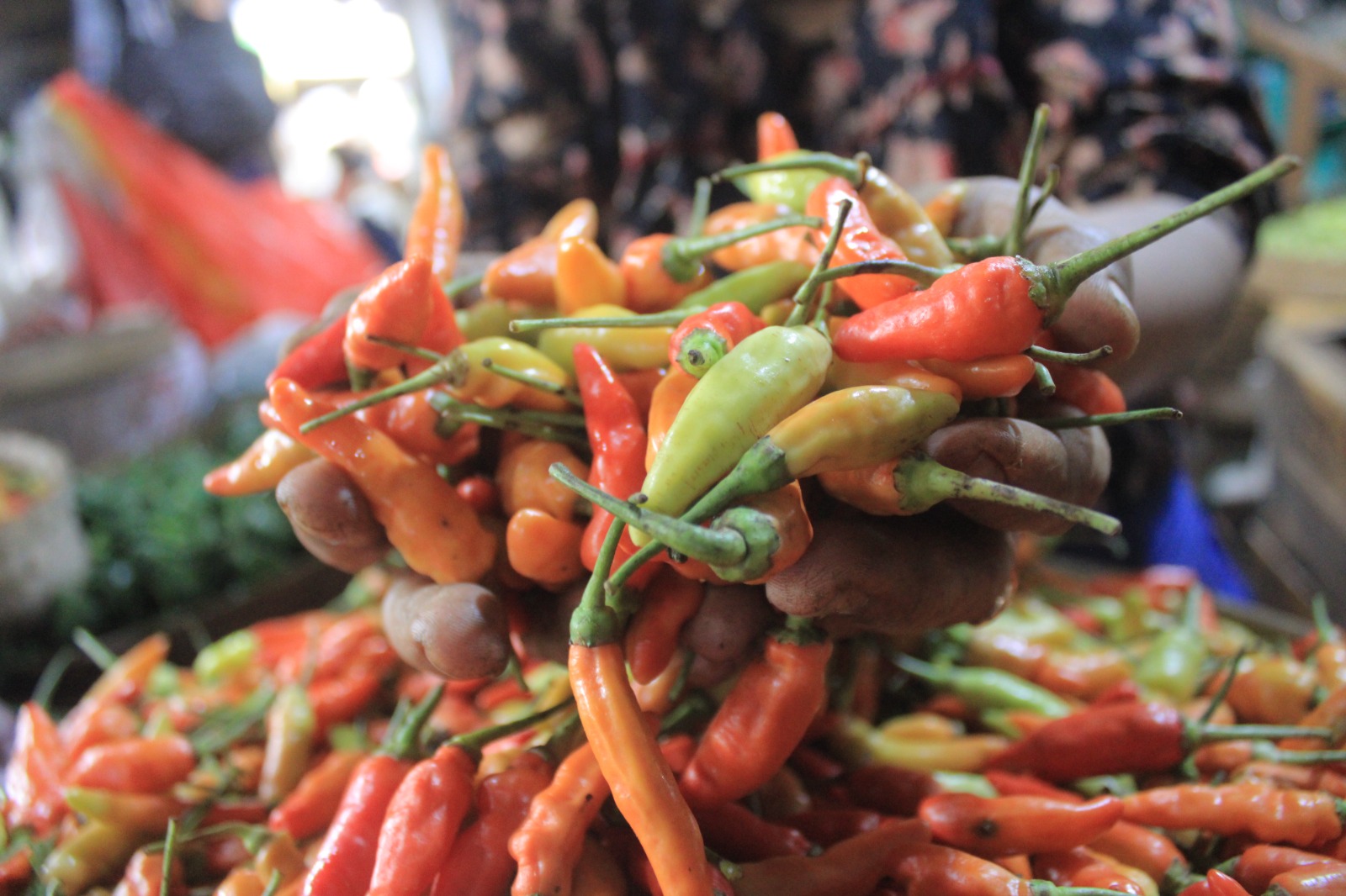 HARGA NAIK: Pedagang menunjukkan cabai rawit di pasar tradisional Magetan yang kini tembus Rp120 ribu per kilogram pada awal Ramadan. AJI PUTRA/RADAR MAGETAN
