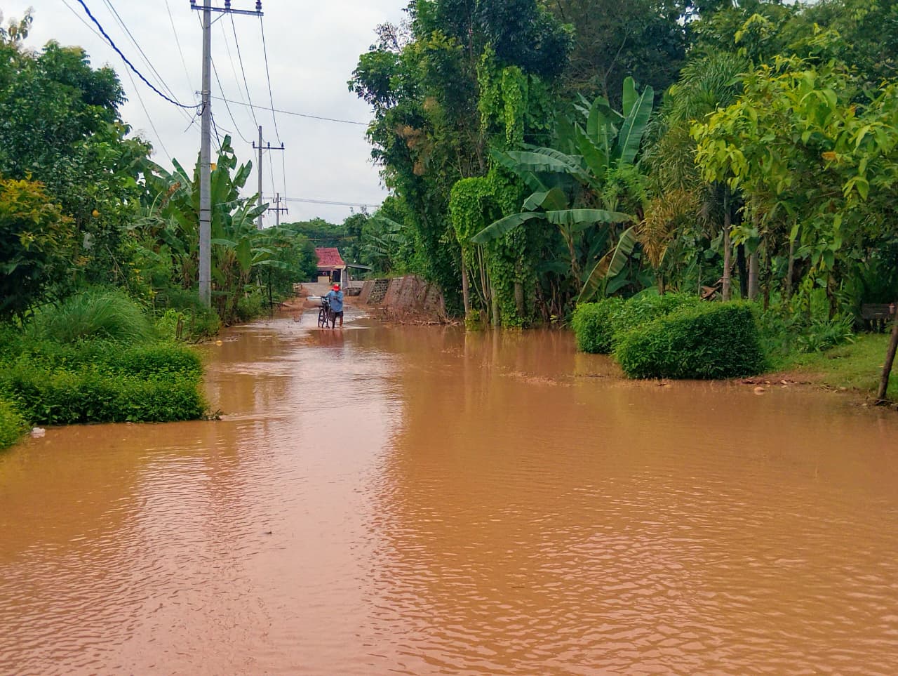 PANTAU BANJIR: Petugas BPBD Kabupaten Madiun memantau kondisi genangan banjir di area persawahan Desa Gading, Balerejo, akibat luapan sungai. LODITYA FERNANDES/RADAR MADIUN
