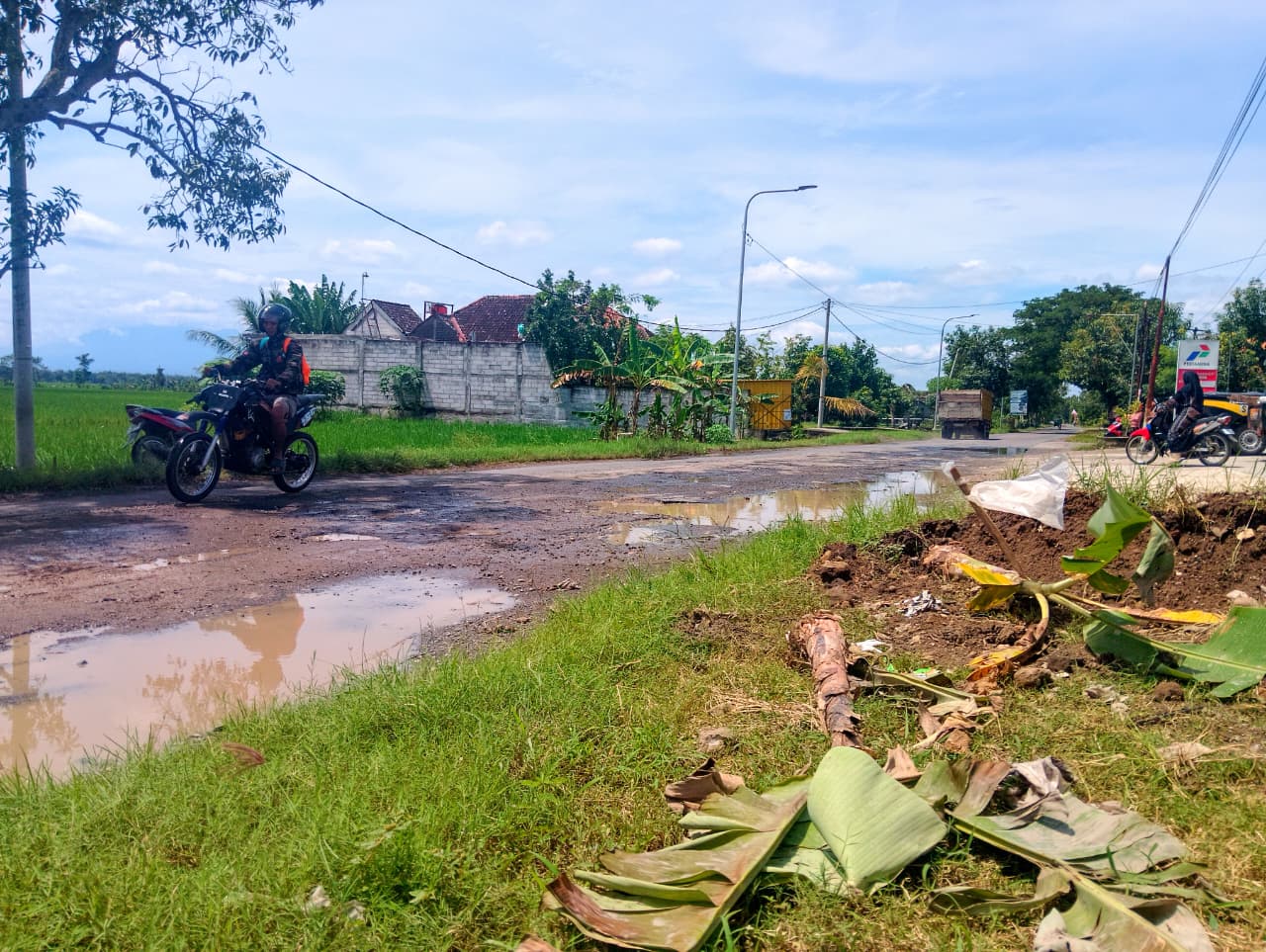 TINDAKLANJUT: Petugas DPUPR meninjau kerusakan jalan Balerejo&ndash;Simo di Desa Pacinan setelah aksi warga menanam pohon pisang sebagai bentuk protes. LODITYA FERNANDES/RADAR MADIUN