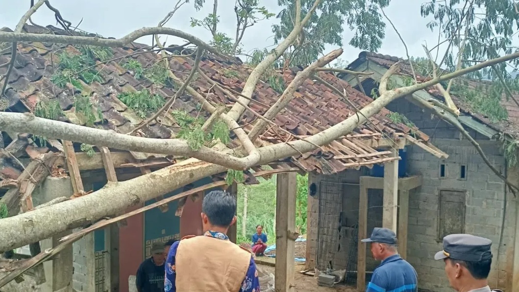 POHON TUMBANG: Dampak cuaca ekstrem di wilayah Bandar, Pacitan, beberapa waktu lalu yang menjadi pengingat meningkatnya potensi bencana hidrometeorologi. DOK RADAR PACITAN