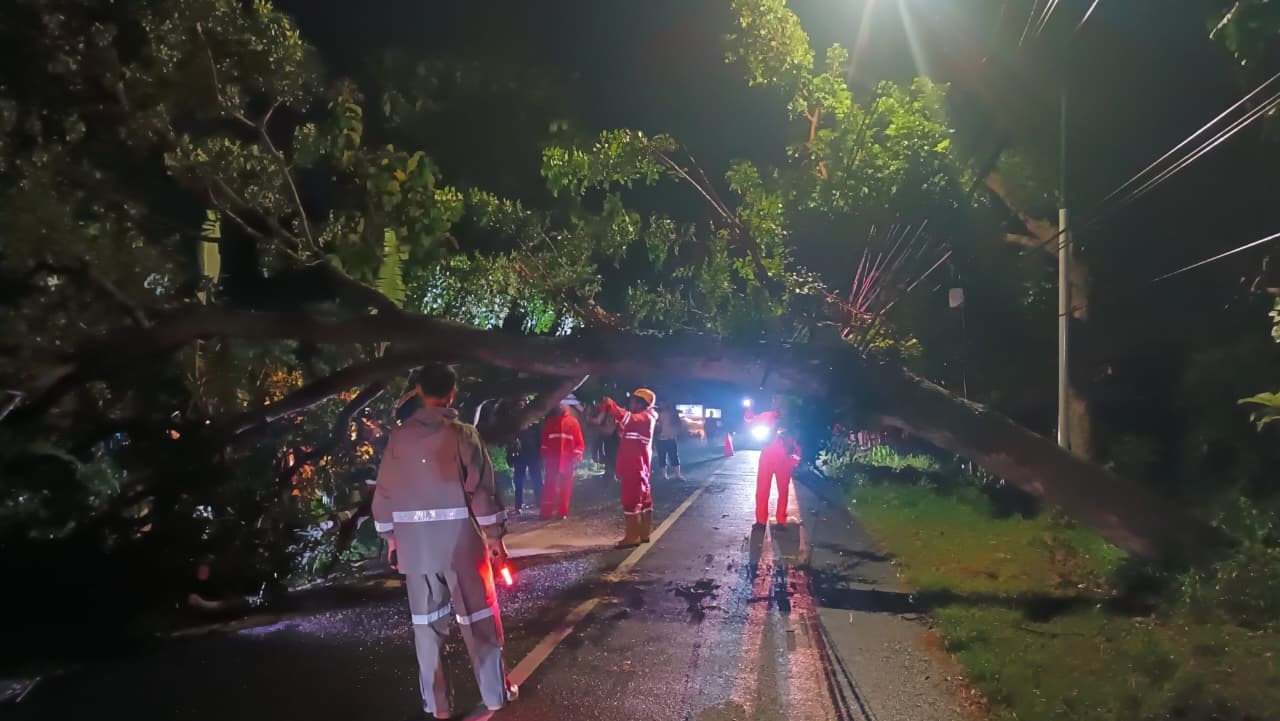 POHON TUMBANG: Petugas mengevakuasi pohon mahoni yang menutup Jalan Parang&ndash;Lembeyan Magetan setelah tumbang akibat hujan dan angin. FOTO: BPBD MAGETAN