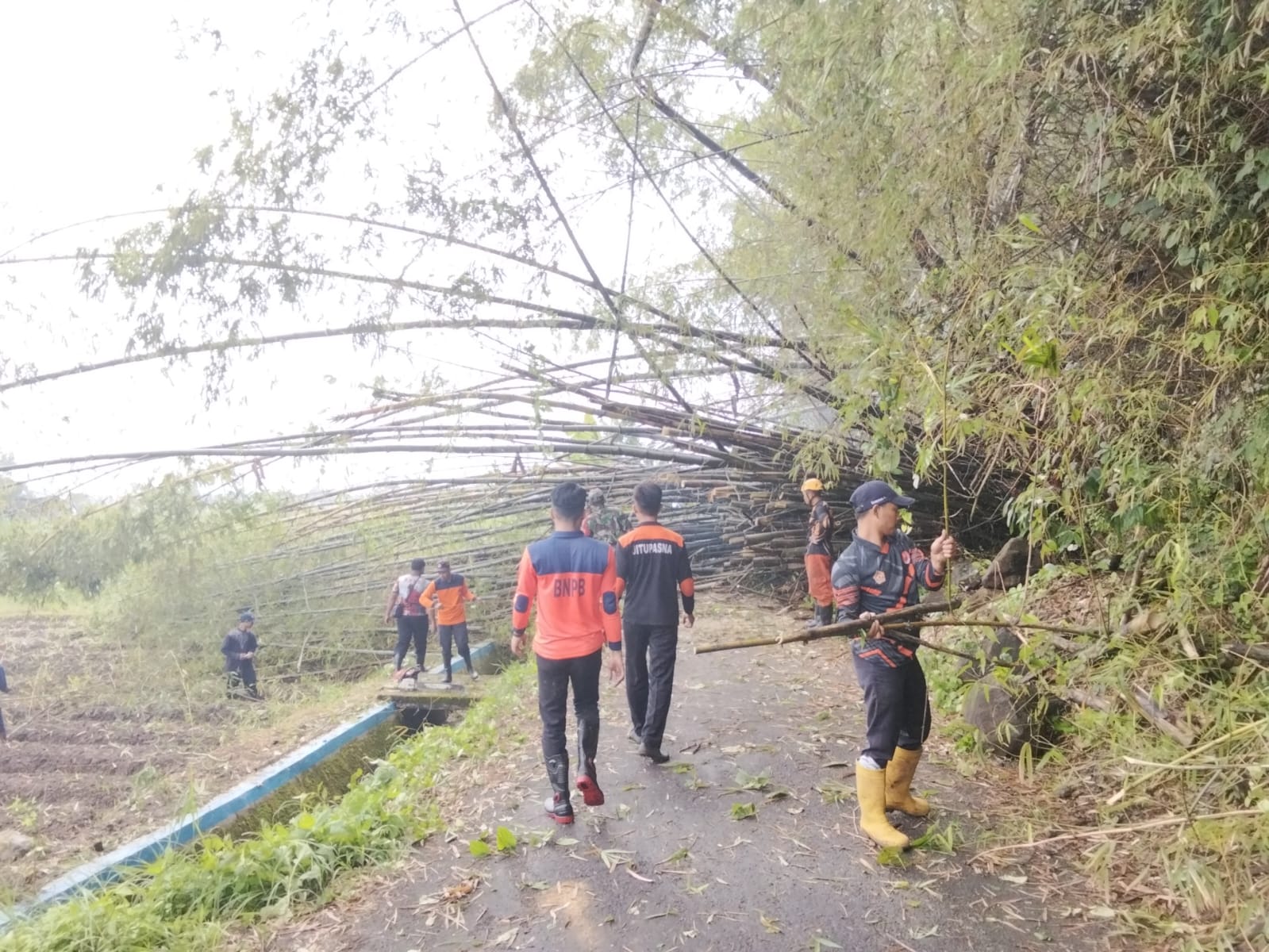 EVAKUASI BAMBU: Petugas BPBD bersama warga mengevakuasi rumpun bambu yang tumbang dan menutup akses jalan di Tawanganom, Magetan. FOTO: BPBD MAGETAN