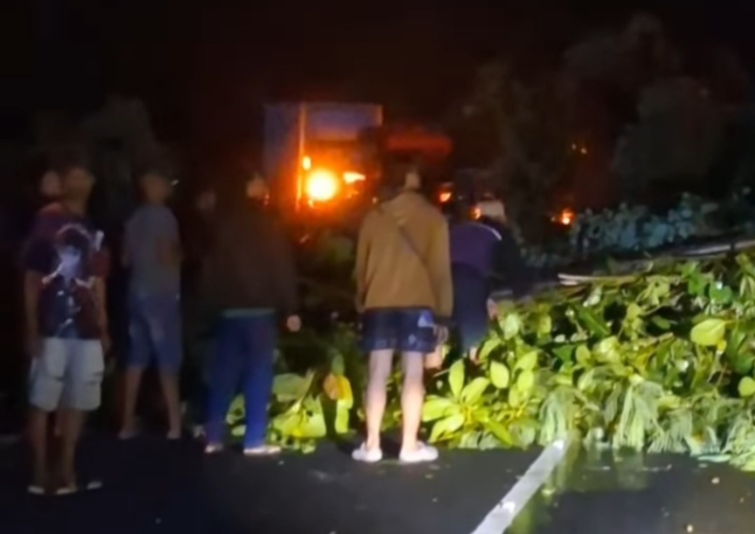 LONGSOR JALUR PROVINSI: Material tanah dan batang pohon menutup jalan Pacitan&ndash;Ponorogo di Tegalombo sebelum dibersihkan petugas.