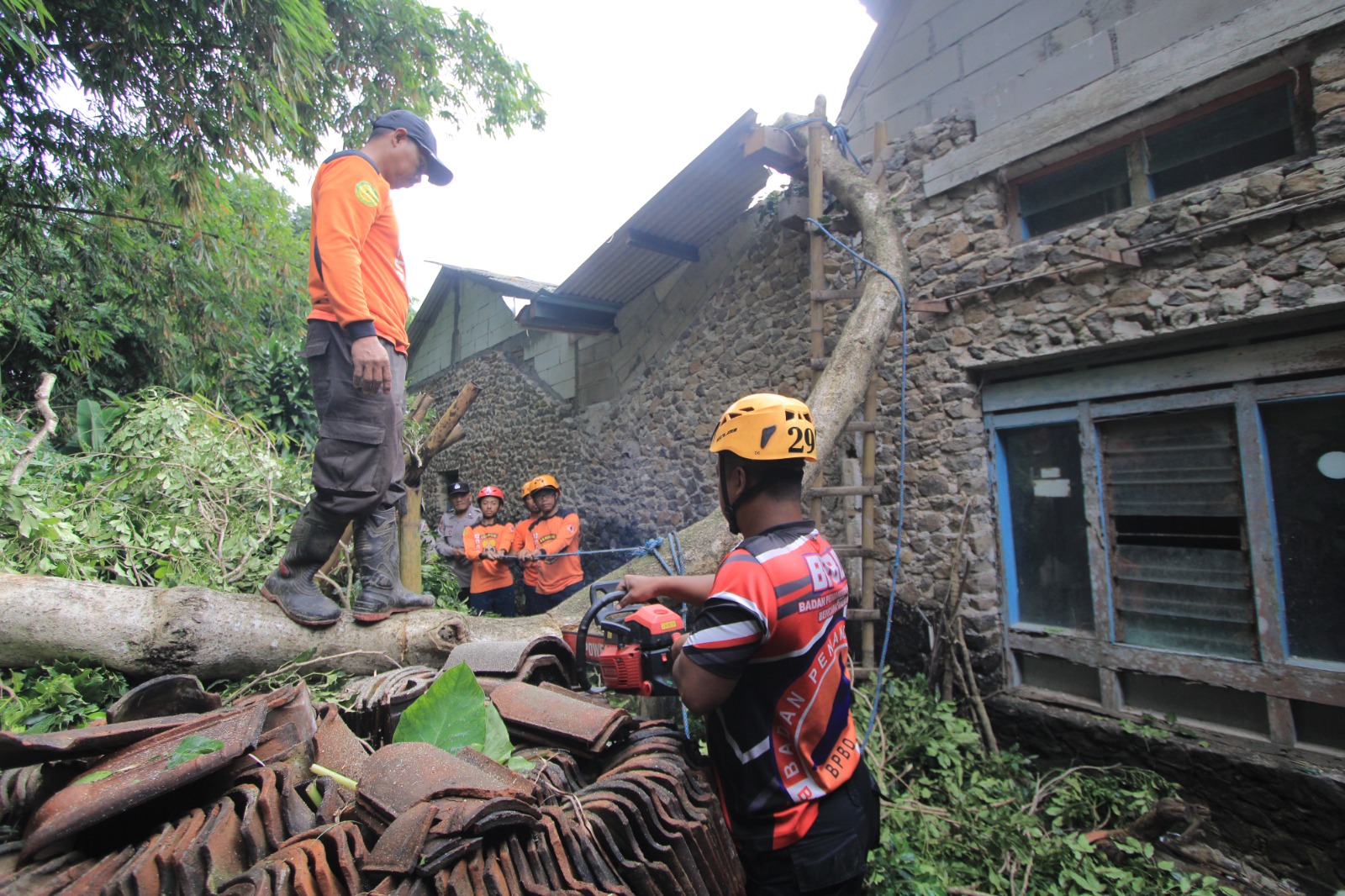 EVAKUASI: Petugas BPBD bersama tim gabungan membersihkan pohon tumbang akibat angin kencang di sejumlah titik di Magetan. AJI PUTRA/RADAR MAGETAN