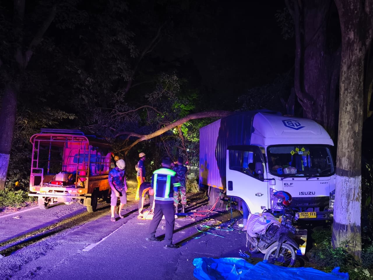 Kecelakaan truk boks menabrak pohon sono keling di Sukomoro Magetan hingga tumbang dan menutup jalan.