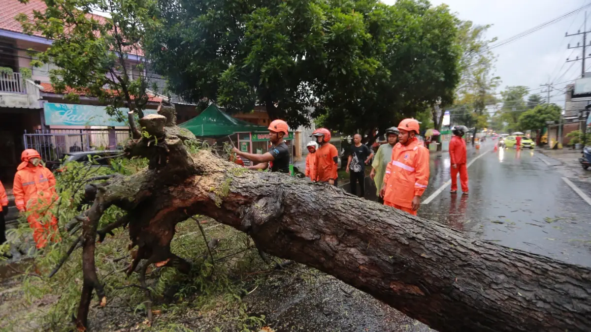 Petugas BPBD mengevakuasi pohon tumbang di Jalan Sumber Karya Kota Madiun. FOTO: BAGAS BIMANTARA/RADAR MADIUN