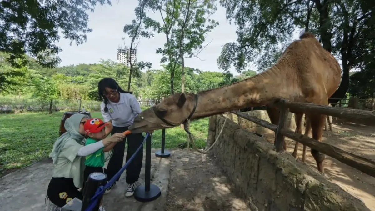Solo Safari salah satu objek wisata anak di Solo. (M. Ihsan/Radar Solo)