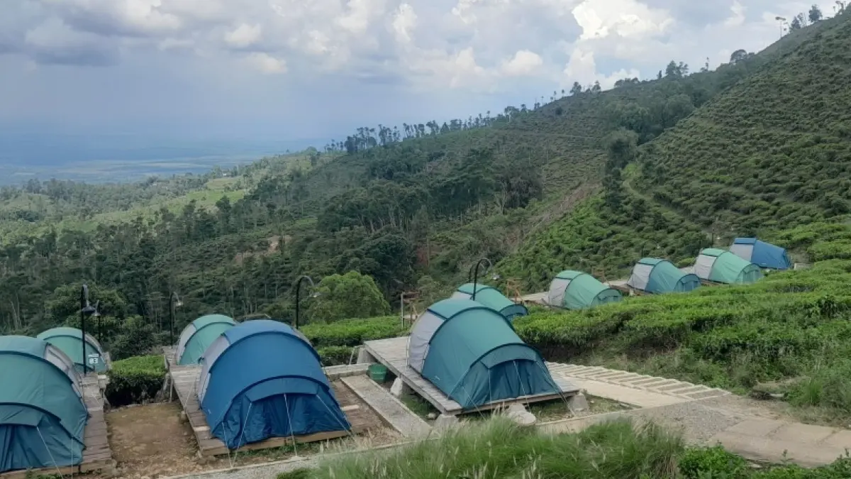 Pemandangan Kebun Teh Jamus di Sine, Ngawi, menjadi salah satu destinasi favorit wisatawan saat libur Lebaran. (ASEP SYAEFUL BACHRI/RADAR NGAWI)