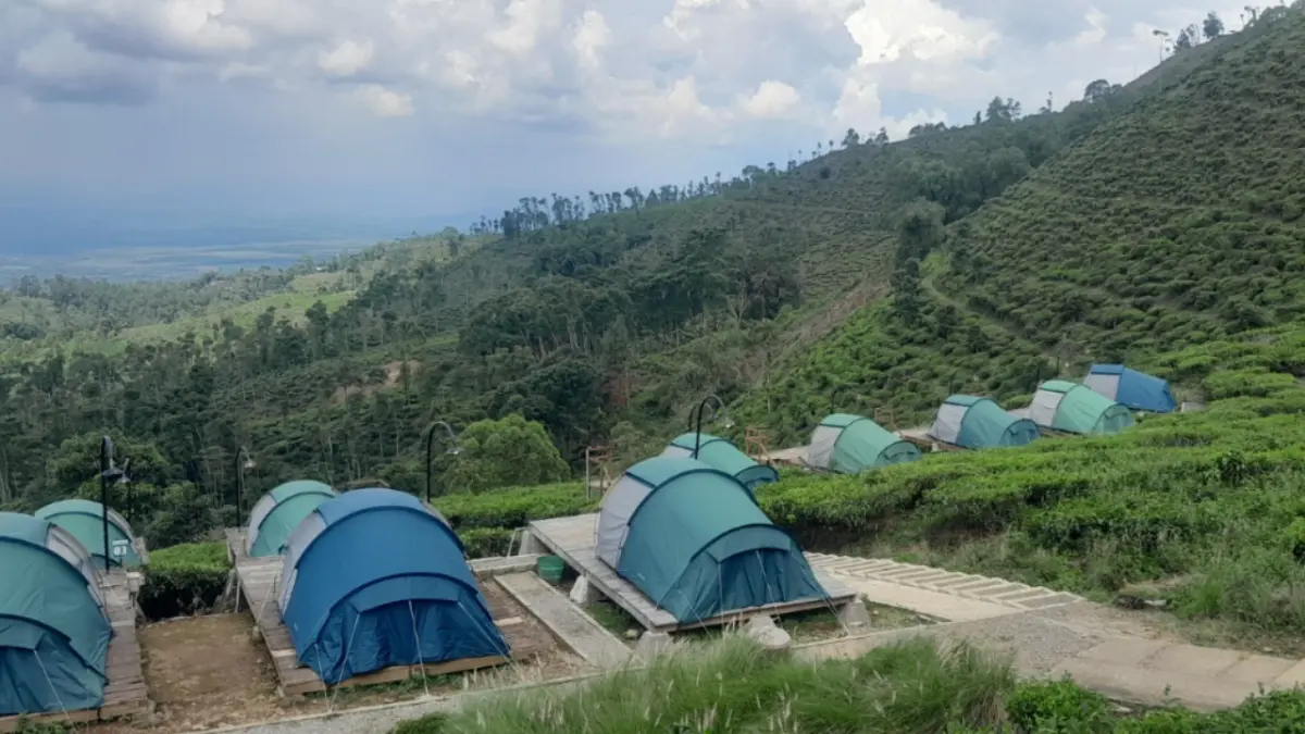 Keindahan Kebun Teh Jamus di Ngawi yang menjadi destinasi favorit wisatawan saat libur Lebaran 2026. DOK RADAR NGAWI