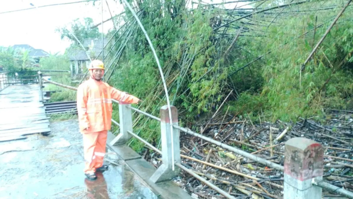 Pohon tumbang akibat angin kencang di Ngawi, salah satu dampak cuaca ekstrem dalam beberapa bulan terakhir. DOK RADAR NGAWI