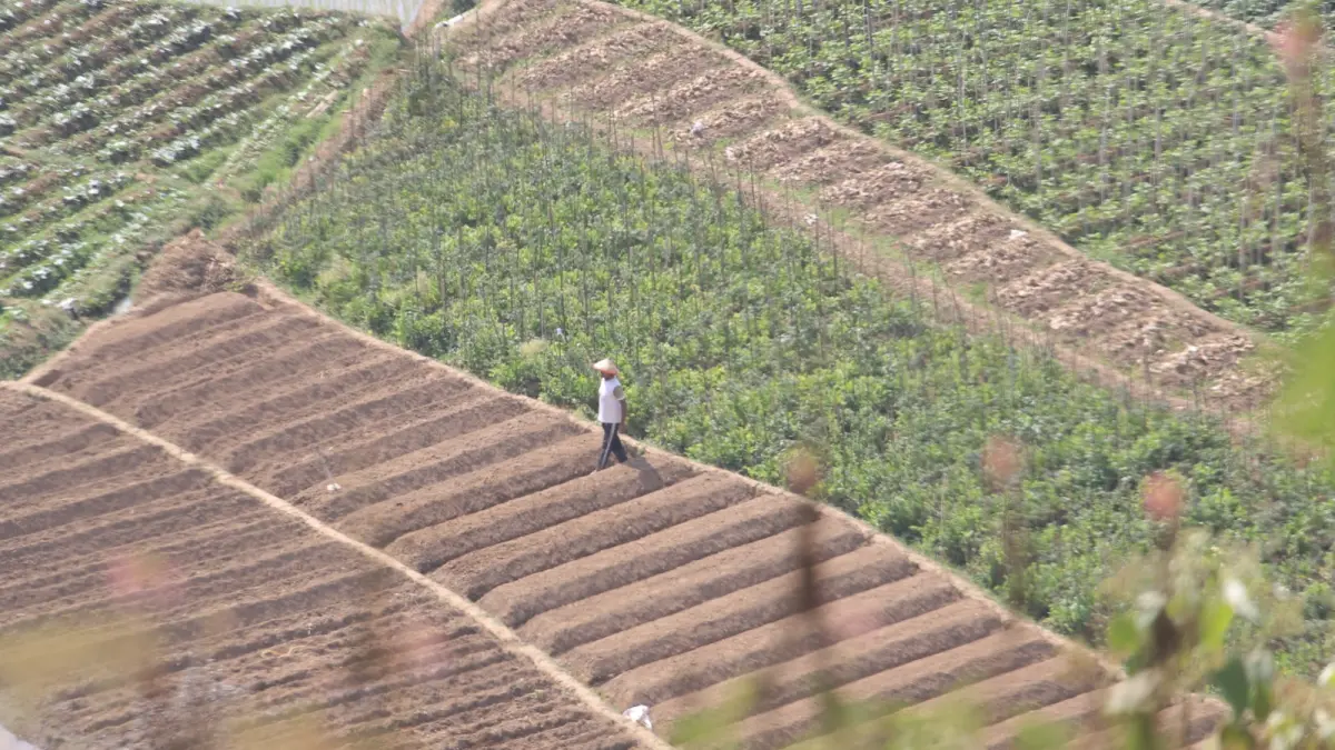 Sektor pertanian Magetan didorong masuk industri pengolahan untuk meningkatkan nilai tambah ekonomi daerah. AJI PUTRA/RADAR MAGETAN