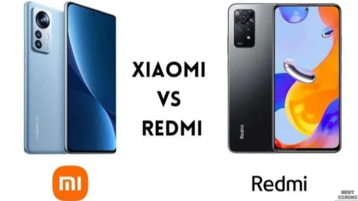 Ilustrasi perbedaan HP Xiaomi dan Redmi.