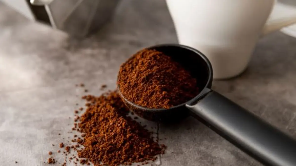 Rekomendasi Kopi Hitam Kemasan Terbaik di Indonesia 2026. (ISTIMEWA)