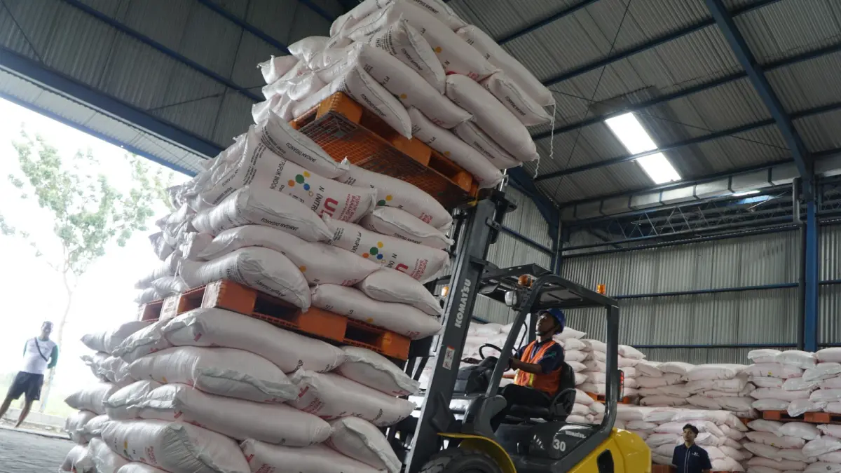 Petani di Ngawi mulai diarahkan mengurangi ketergantungan pupuk kimia akibat kenaikan harga pupuk non subsidi. DOK RADAR NGAWI