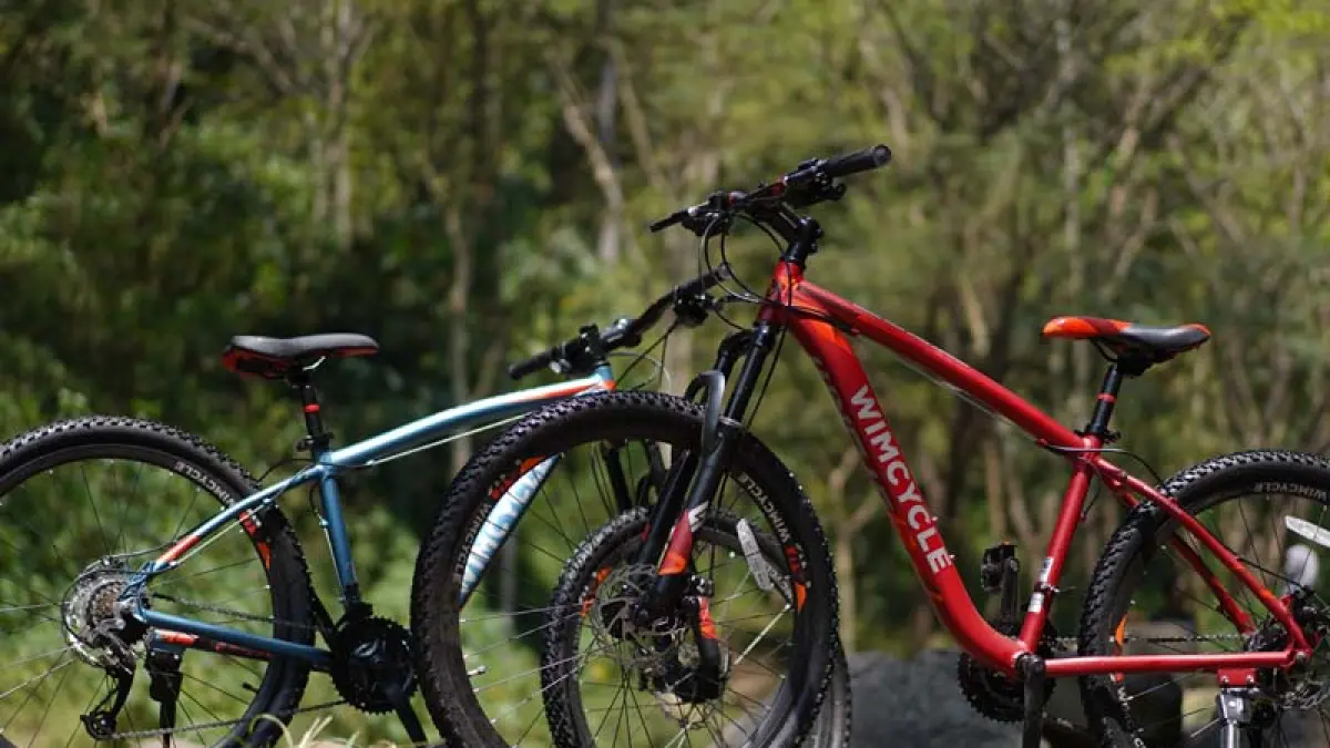 Ilustrasi Sepeda MTB Murah (rodalink)