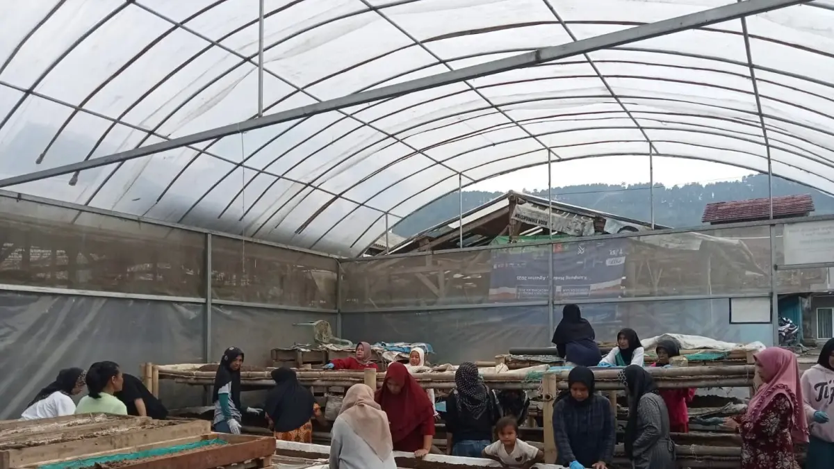 Pelaku UMKM mengolah limbah ternak menjadi pupuk dan biogas sebagai sumber penghasilan baru.