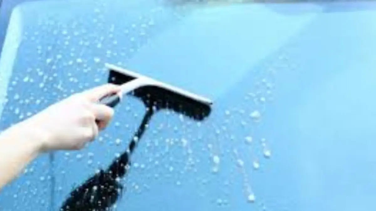 Cara jitu menghilangkan jamur pada kaca mobil. AUTO 2000