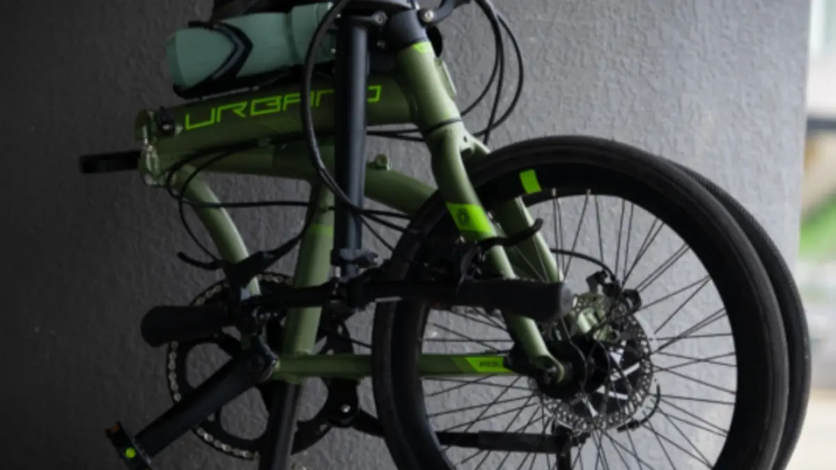 Polygon Urbano 5.