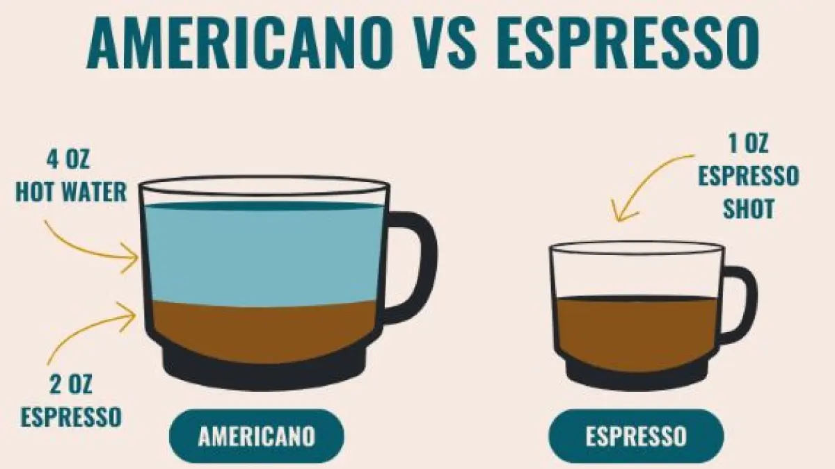 Espresso vs Americano. (ILUSTRASI HOME COFFE EXPERT) 