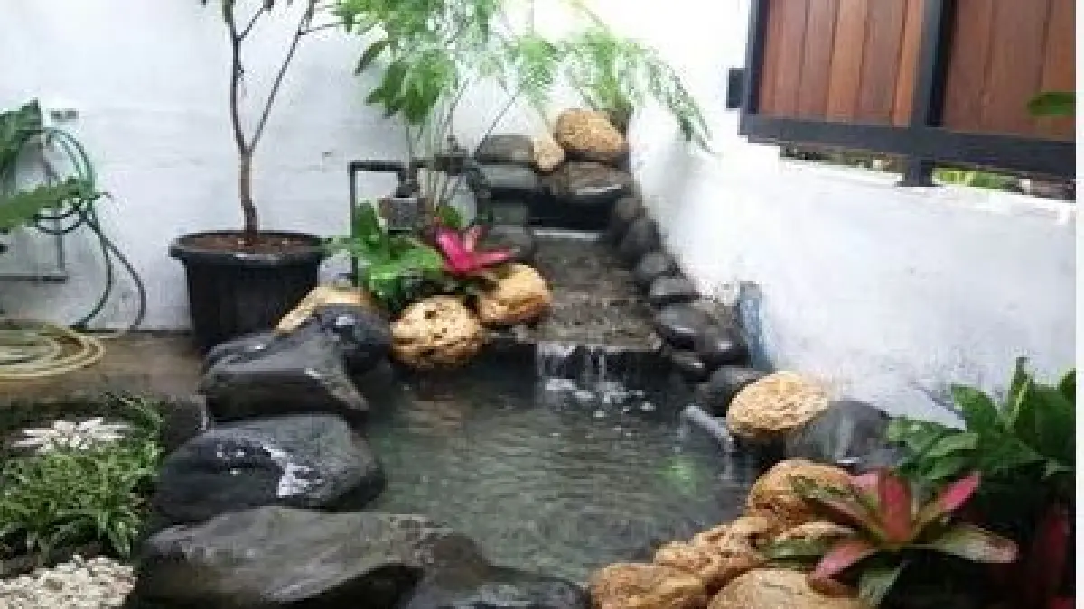 Desain Kolam Ikan Depan Rumah Sempit. (ILUSTRASI/PINTEREST)