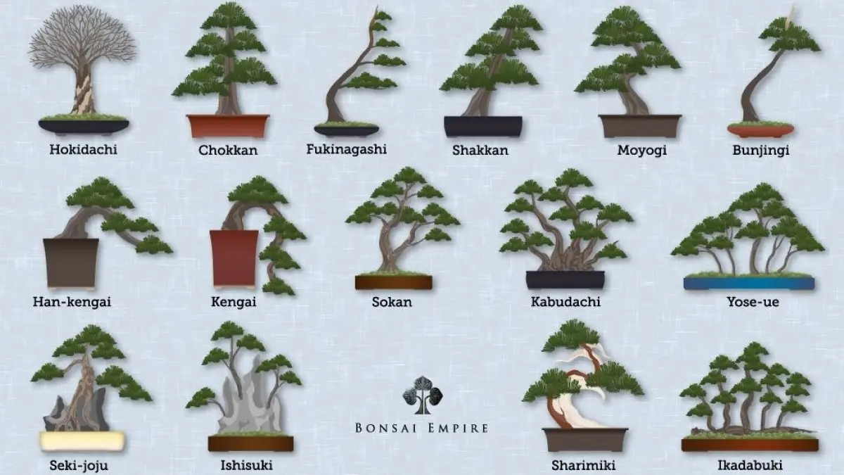 Mengenal Bentuk Bonsai. (GoGreen Garden)