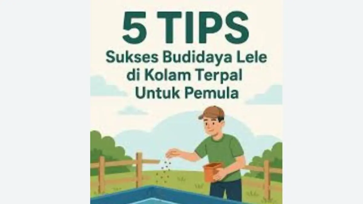 Tips Pemula Budidaya Lele. (ISTIMEWA)