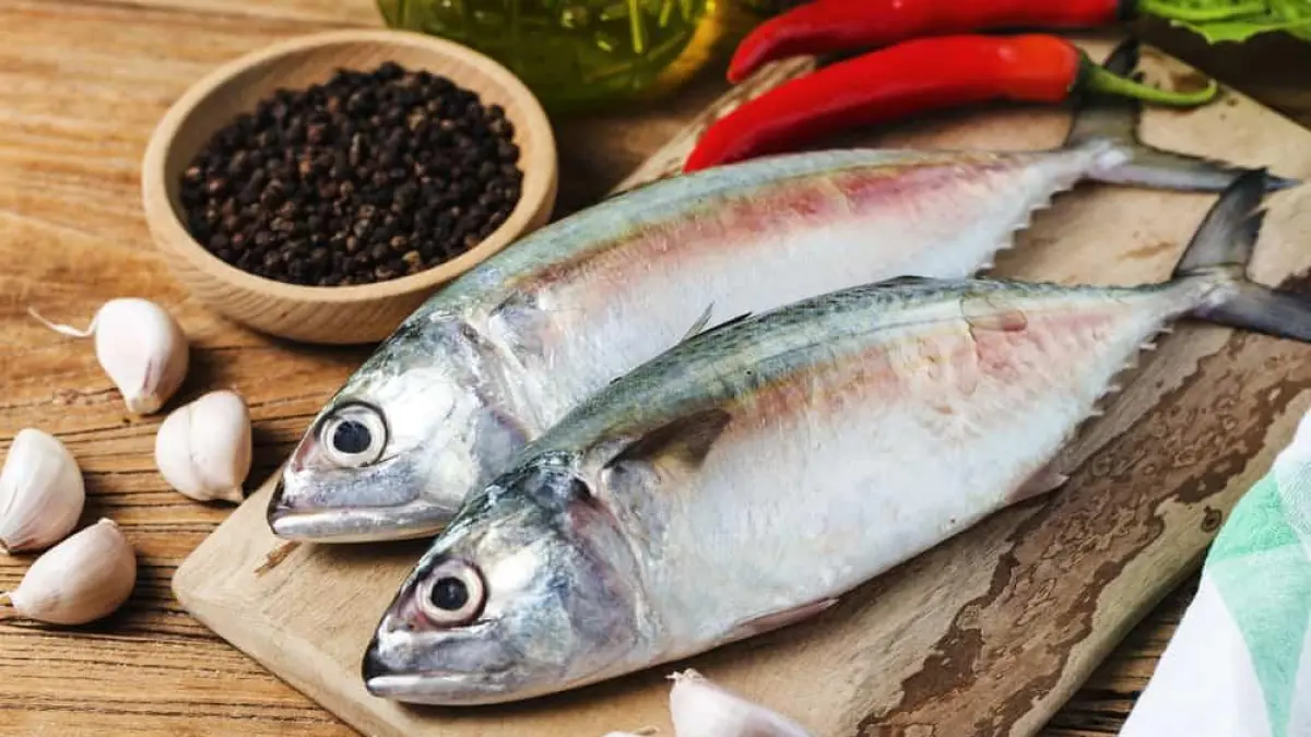 Ikan kembung kaya manfaat lebih dari ikan salmon.