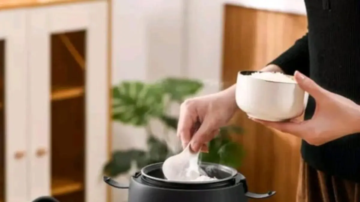 Ilustrasi Rice Cooker Terbaik 2026 (Haibunda)