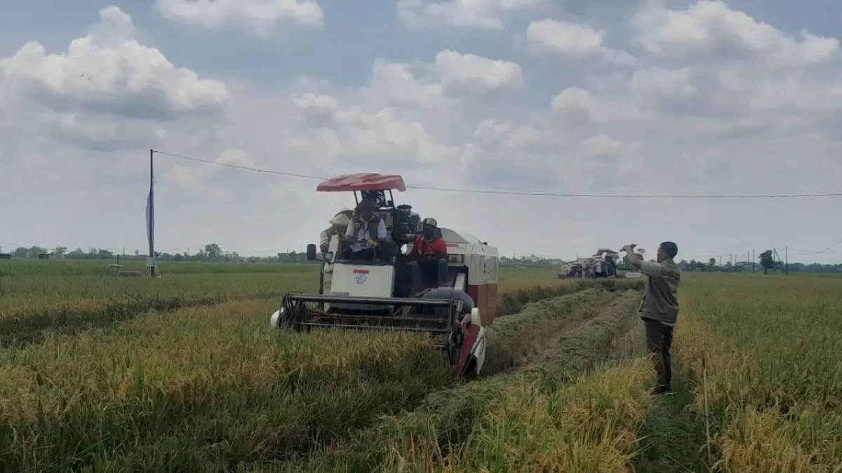 Sektor pertanian di Ngawi disiapkan menghadapi ancaman El Nino Godzilla melalui strategi manajemen air dan sumur dalam. FOTO: ASEP SYAEFUL/RADAR NGAWI