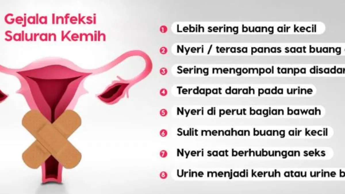 Ilustrasi infeksi saluran kemih. (ISTIMEWA)