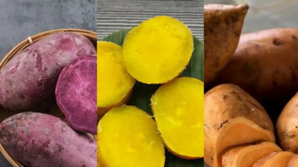 Ilustrasi olahan ubi jalar. (ISTIMEWA)