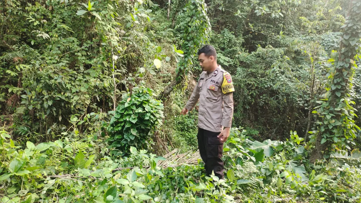 Ilustrasi kecelakaan lalu lintas yang menewaskan Babinsa di Pacitan saat menjalankan tugas. FOTO: ISTIMEWA