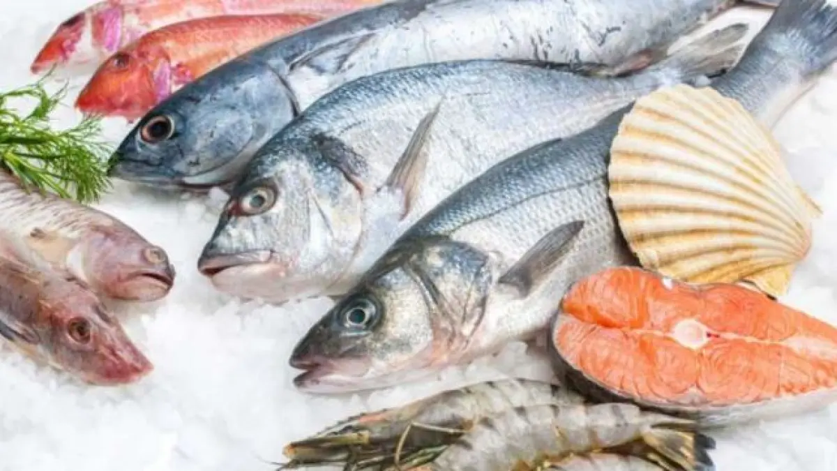 Ilustrasi ikan segar. 