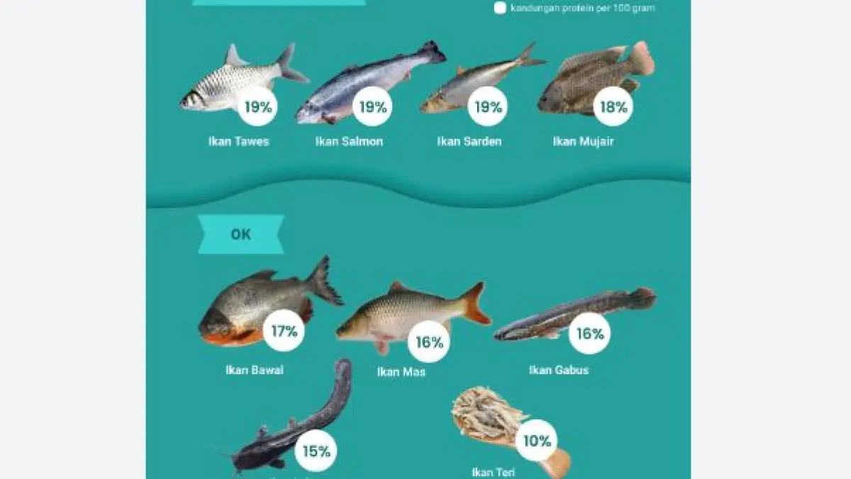 Ilustrasi ikan tinggi protein. (INDONESIA BAIK)