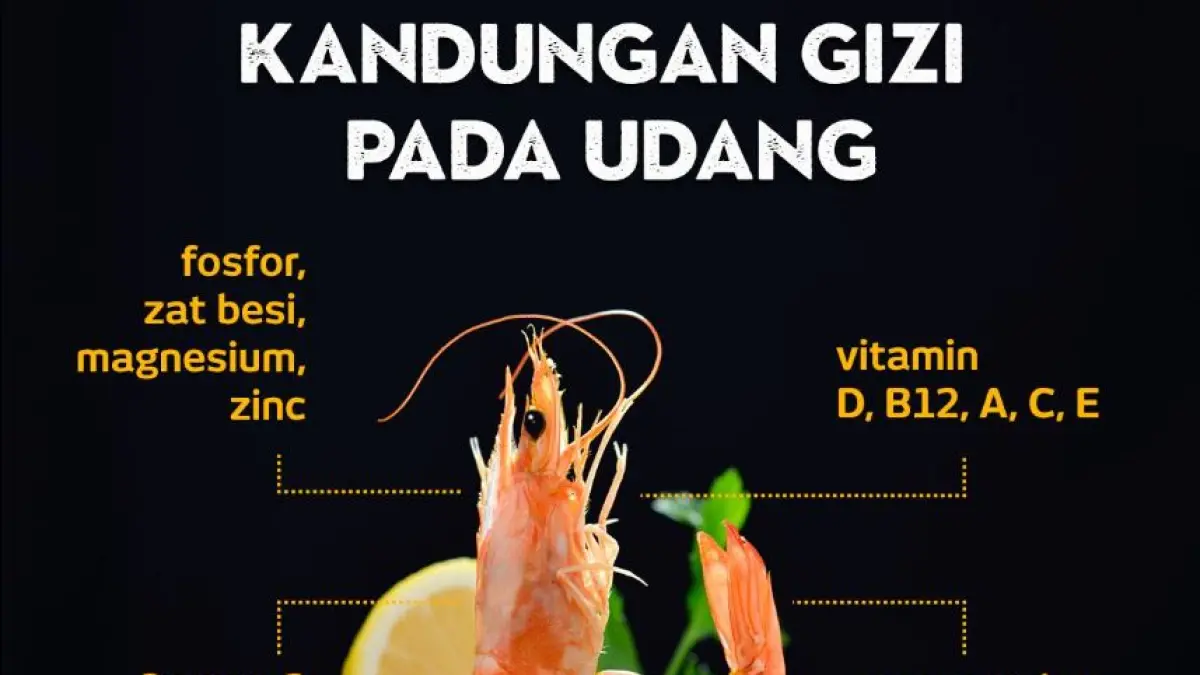 Ilustrasi kandungan gizi udang.  