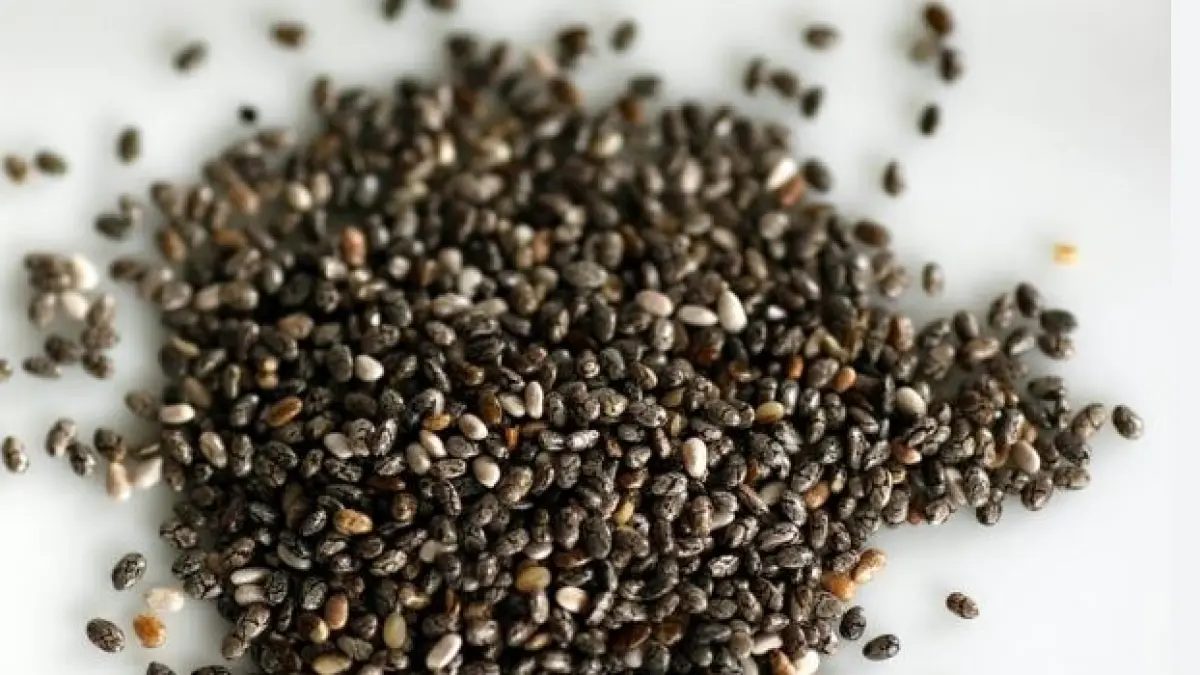  Chia Seed. (ILUSTRASI)