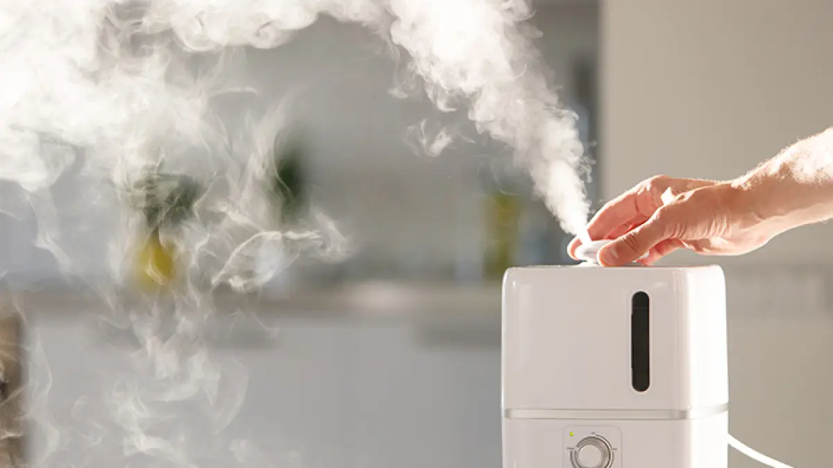 Ilustrasi Humidifier (Halodoc)