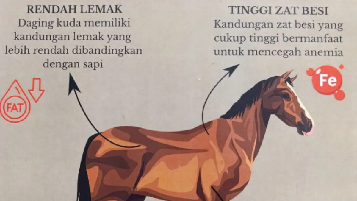 Daging kuda. 
