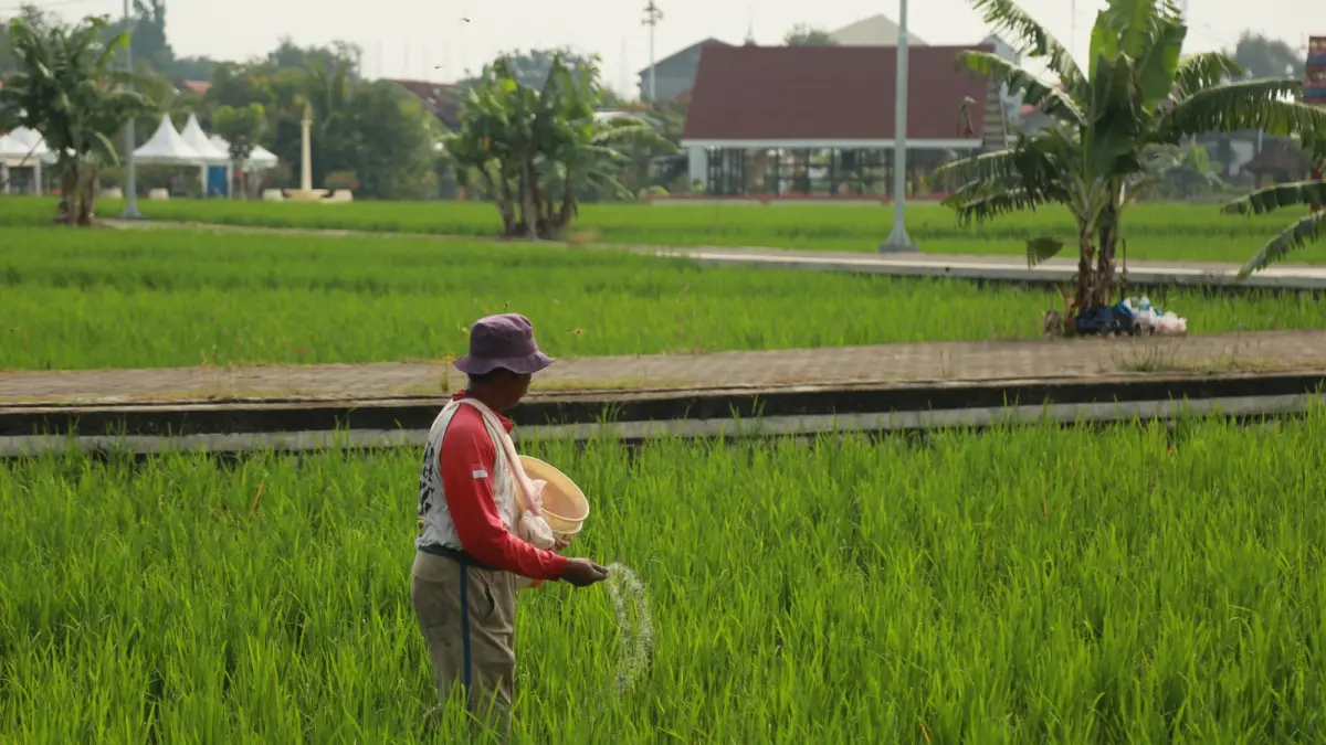 Distribusi pupuk subsidi di Kota Madiun diawasi ketat untuk memastikan penyaluran tepat sasaran bagi petani. BAGAS BIMANTARA/RADAR MADIUJ