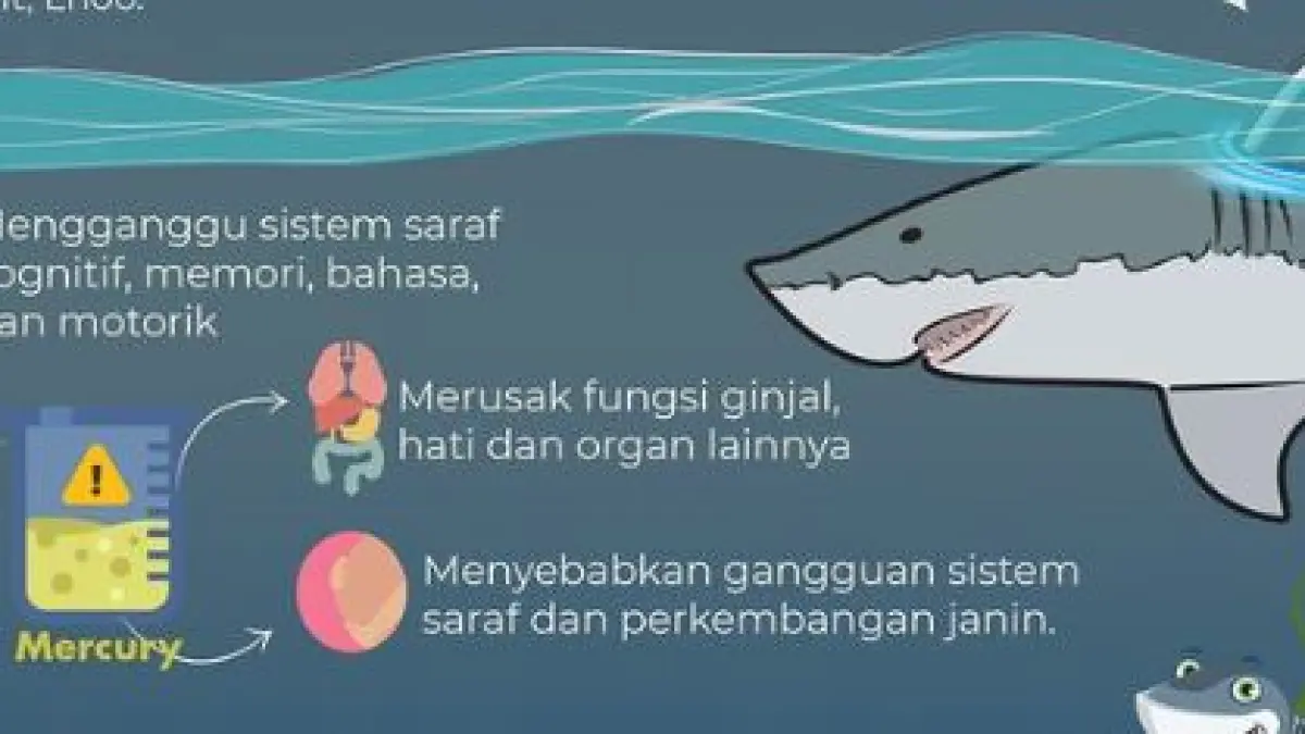 Ikan hiu. 